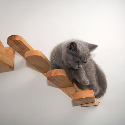 Cats Climbing Playset 