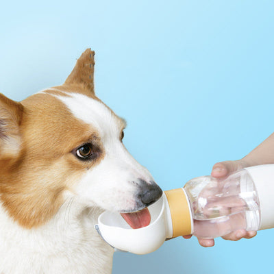 New Go Out Water Cup